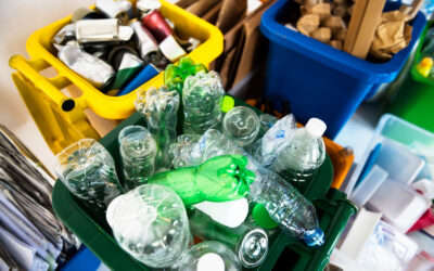 Miami-Dade Waste Disposal Locations: A Guide to Proper Waste Disposal